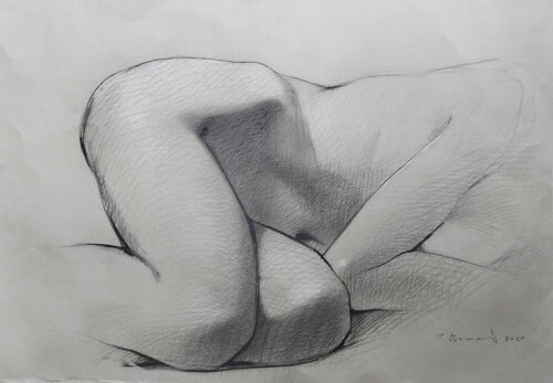Anatomical study from life of the lower limbs